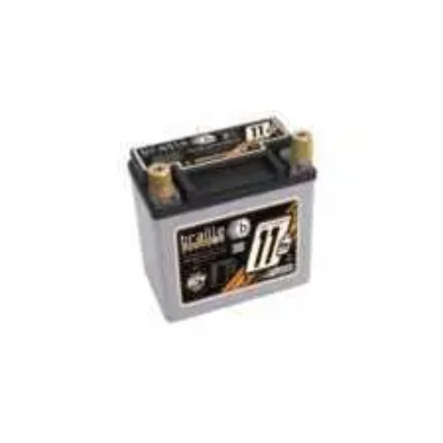 Braille Performance Lightweight AGM Battery – B14115 – 11.5lbs …